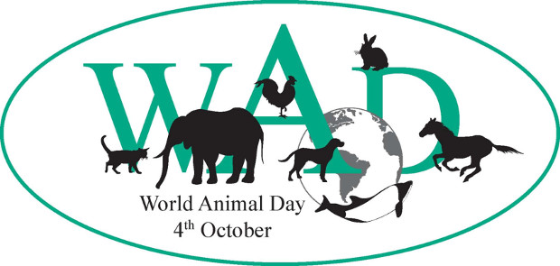 Παγκόσμια ημέρα των ζώων σήμερα!!